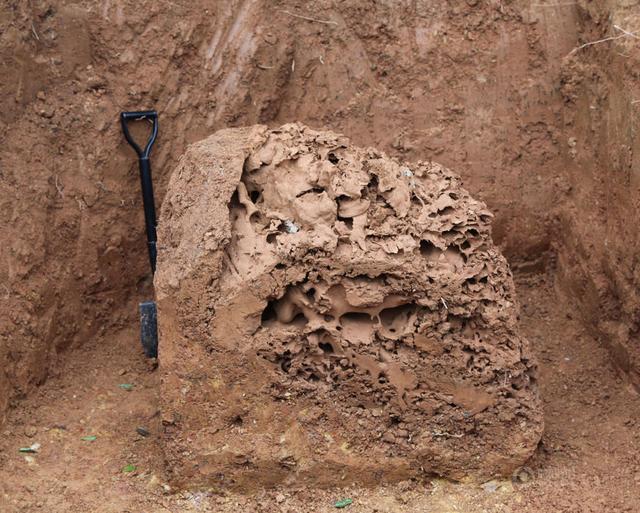 ����Ƴ����ϳ�������20�����ҵ����䣬���;޴�����ֱ���ɴ�1.8�ס�