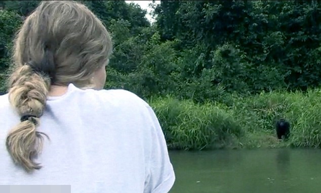 ��˹Ƥŵ���ִﵱ�ع�԰�󣬼���ǰ��������