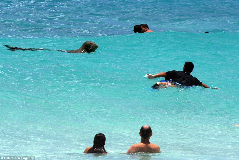 ������ŷ������ɣ�Ϻ�̲ɮ�������������Ⱥ