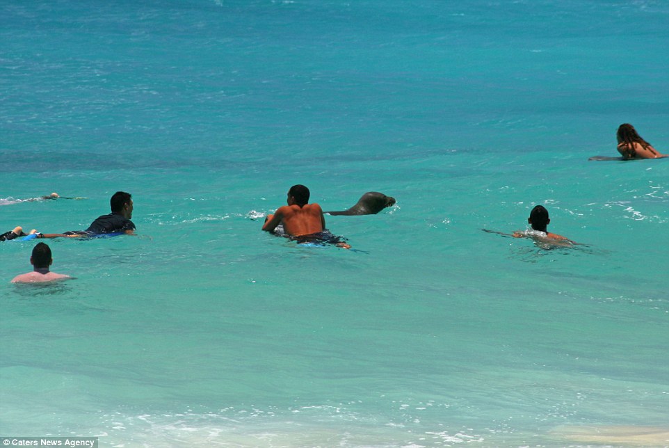 ������ŷ������ɣ�Ϻ�̲ɮ�������������Ⱥ