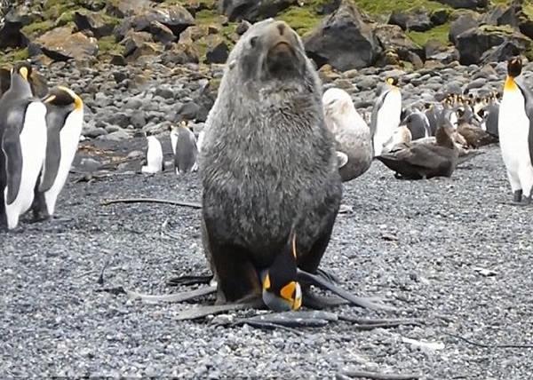 ��ѧ�ҽ�������ĵ�����������������