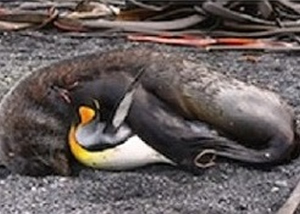 �о�ԱĿǰ��δ�ܽ��ͺ�����������Ϊ��