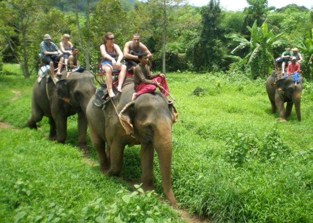 不少游客喜欢到泰国骑乘大象观光,致命事件或引发恐慌。