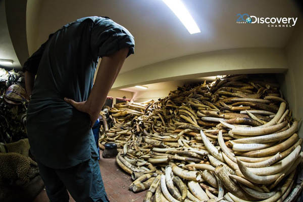 ������Ұ������������ܲ������и����տ⣬����40�ֵ�û��������ÿ�����Ǹ�������