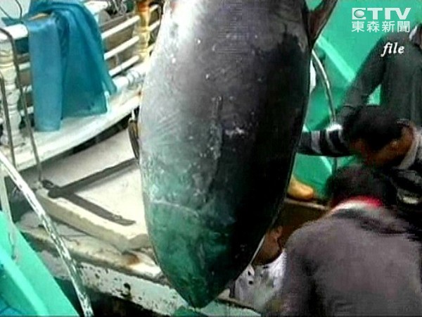 ȻˣIUCN±棺̫ƽپΣ