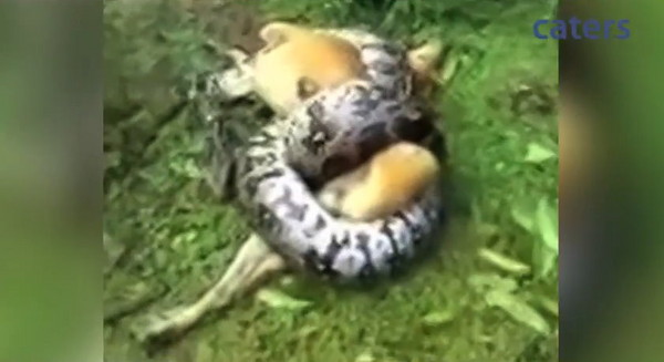 �����߽�����ס�ƹ������˺ü�Ȧ��