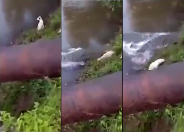 С���ӱ�ɢ���ճɾ������