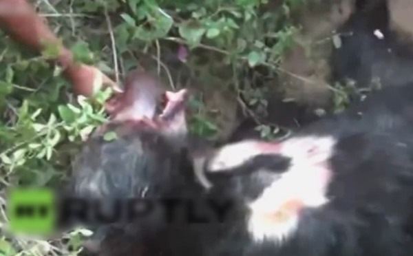 ������󱻾�Ա��ǹ������