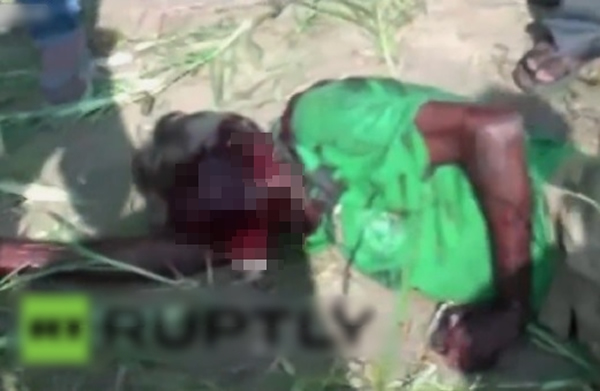 ����һ����Ϯ�������������ˡ�