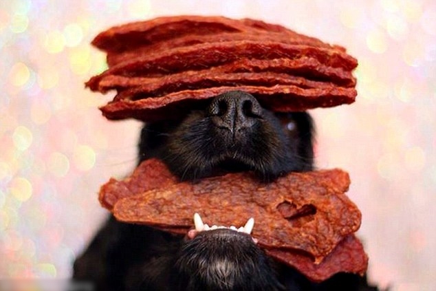 ������ʳ���ڿ��У�Bella BooҲû�г��¡�