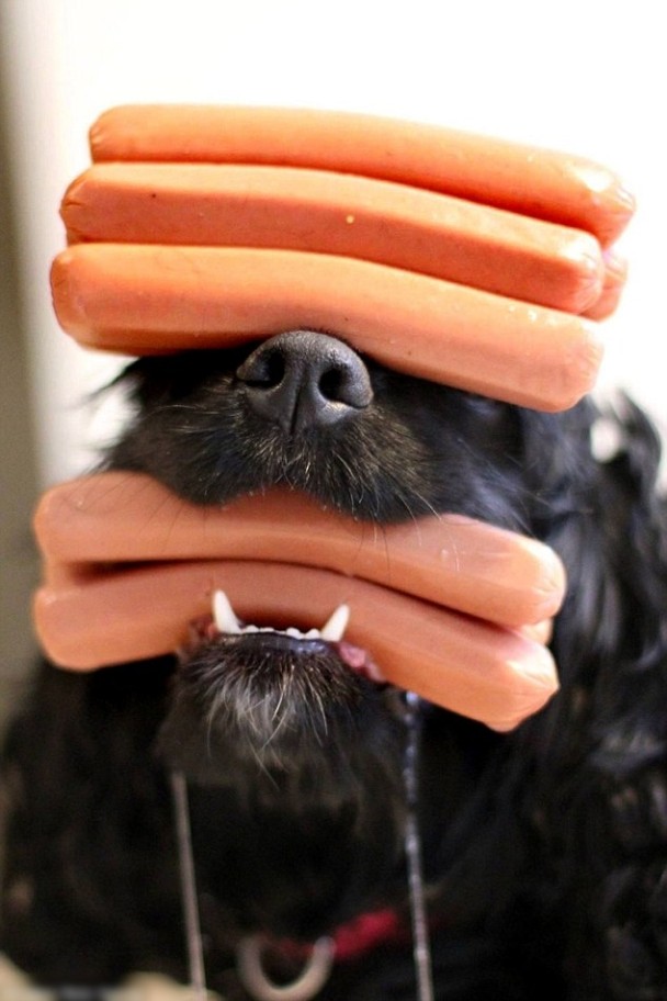 �㳦��ǰ��Bella BooҲû�з�Ӧ��