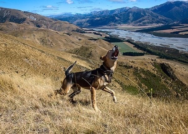 ���๤��ȮҪ���Ͽ��������ͻ����¹�����