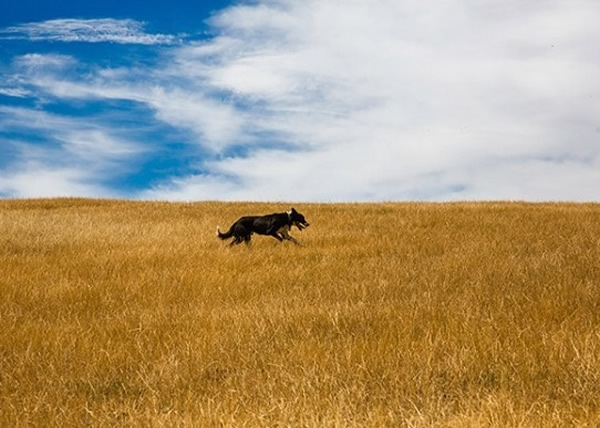 �����²���׽��������ɽ�Ϸ������ܵ�һ�̡�