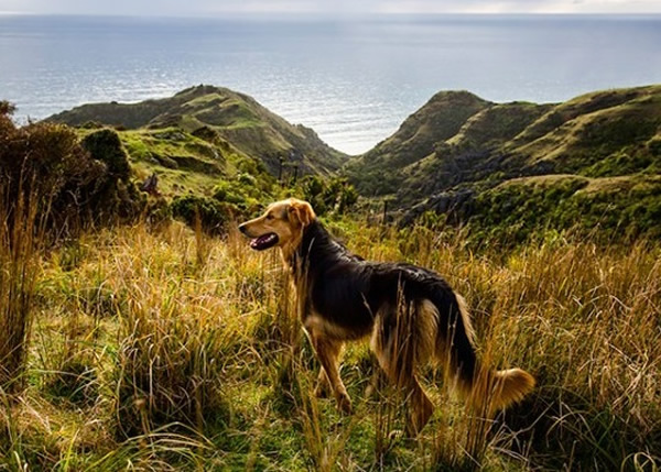 ����Ȯ�����಻�ɻ�ȱ�ĺð��֡�