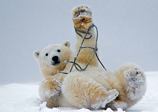 �����ܱ����Ӳ�ס������Ȥ�ַǳ���