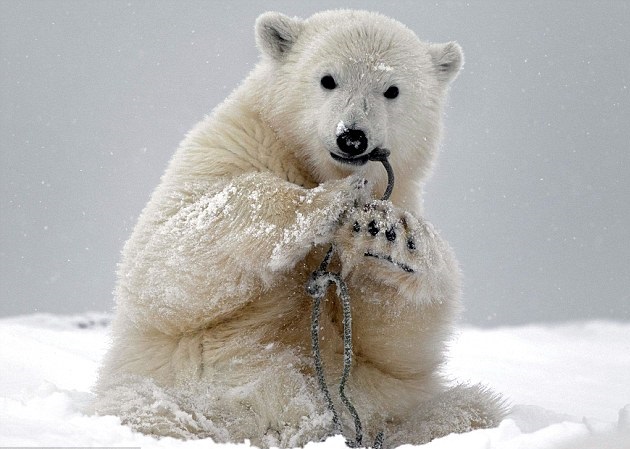 С����ͼҧ������������