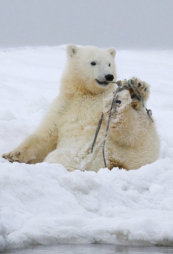 С�ܿ���һ�����Σ���֪����Ǻá�