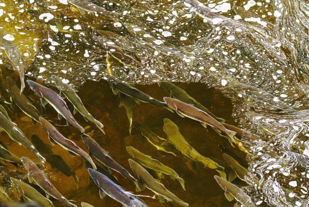 ��������������㡣