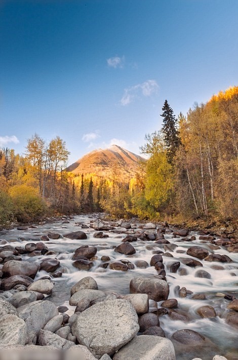 Զ�����̼����У�����˹�ӵ�Ұ��ǳ�������