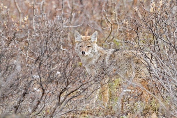 ��������Ͻ��ǡ�