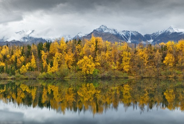 ��ˮ��ӳ�˰��ϵ���ľ��