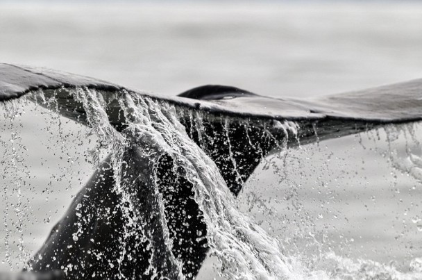 ����Ǵ���Ҳ���Ͼ��㡣