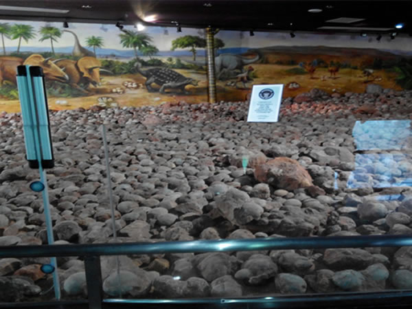 河源恐龙博物馆馆藏的1.6万多枚恐龙蛋