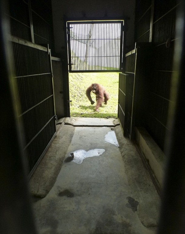 ���������ڶ���԰���ź󣬱�Ҫ����������