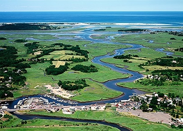 �·��ڰ�����˹��һ����̲��