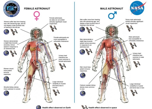 NASA公布男女太空人登上太空后的身体变化,发现男性较能适应。