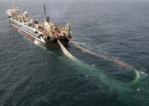 ���޵����������������Ȳ����йء�