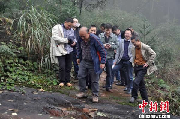 专家组实地考察最新发现的恐龙脚印