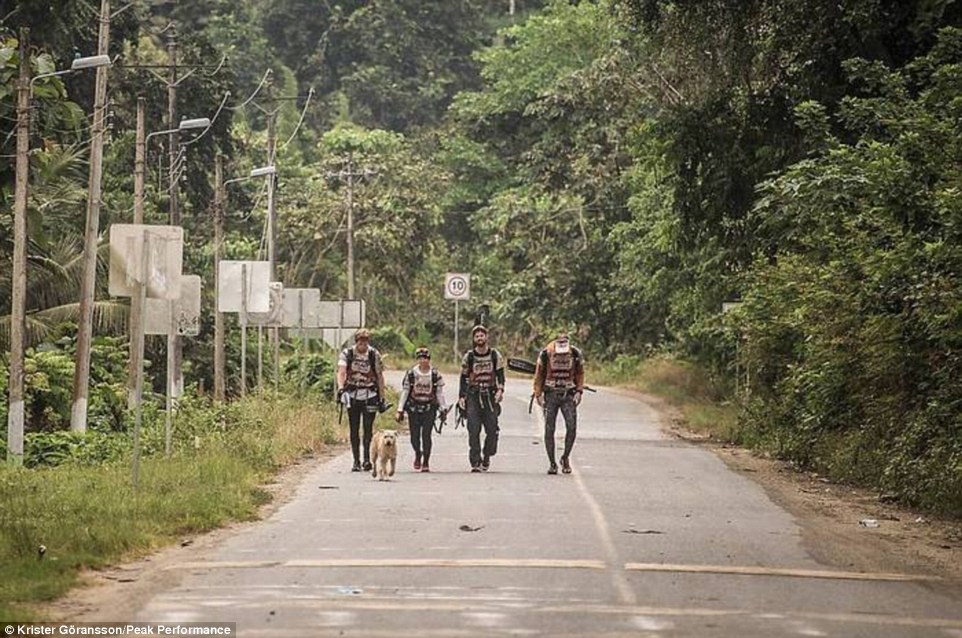 瑞典4位运动员穿越南美厄瓜多尔雨林时吸引一只流浪犬跟随