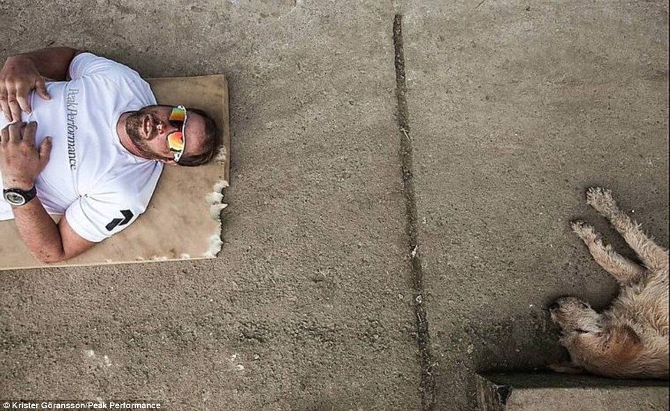 瑞典4位运动员穿越南美厄瓜多尔雨林时吸引一只流浪犬跟随