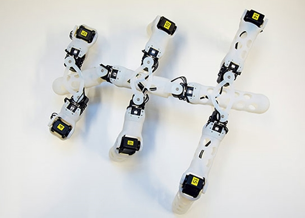 机械虫可在缺少一只脚的情况下,继续执行任务。