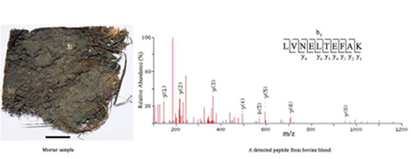 �Ŵ����Ȳ㼰��⵽���Ķ�