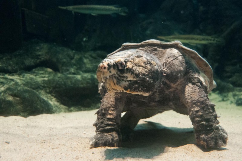 �ڹ���������������֡����������ж���������������ϵ��ϸ��һֱ��������