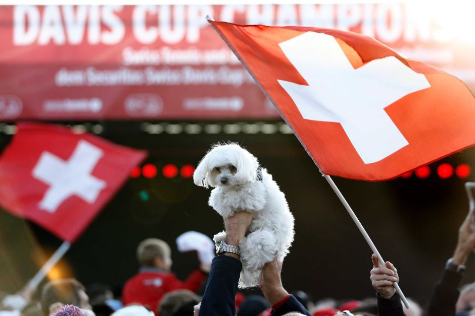 3%��ʿ�˻��è�� ����������Ը������ֹ