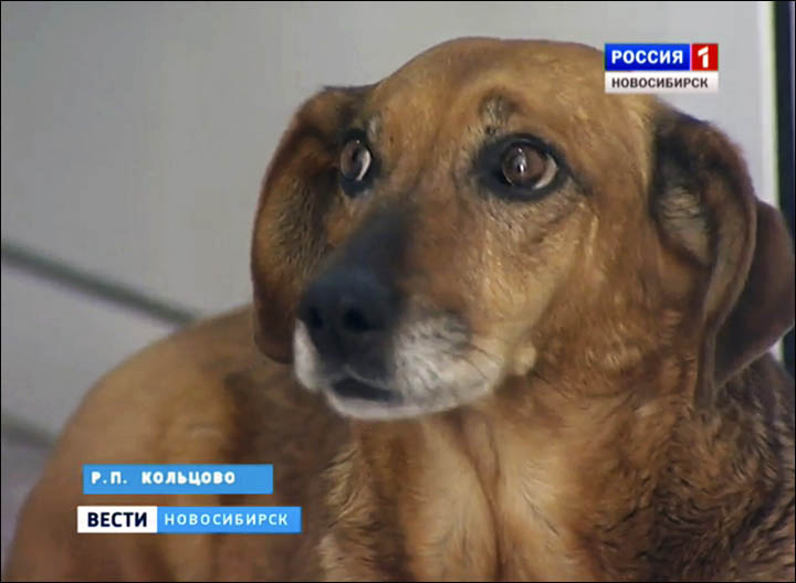 ˹Ȯ˹ÿ춼ᵽҽԺȴŵ