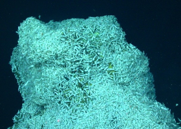 ���ȪϺ�ڼ��ձȺ������������400�ȸ��µ���Ȫ�ҷ��۾ӡ�