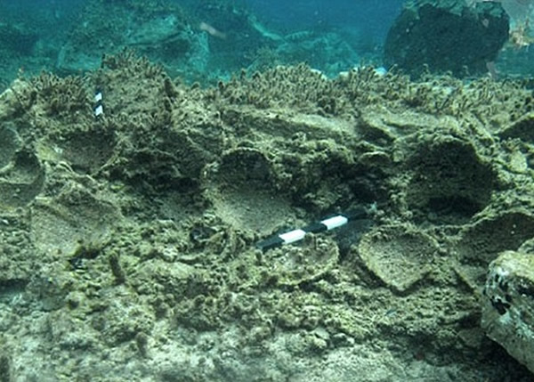 研究人员在该座千年历史遗址,找到16件赤土陶器。