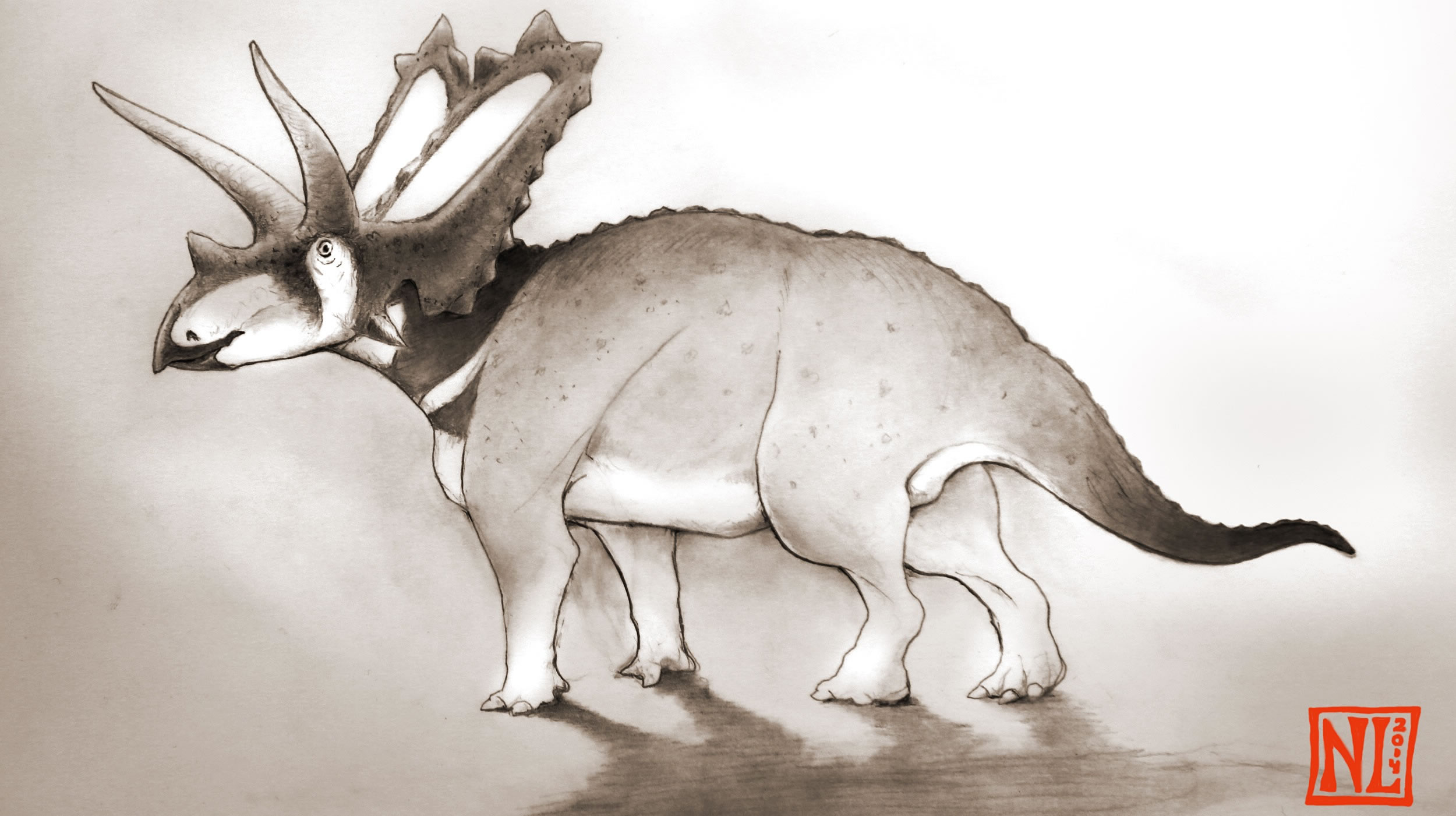 五角龙(Pentaceratops)复原图