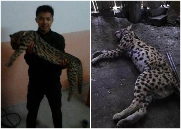 ָͨƬлĳͼһֻèǱè