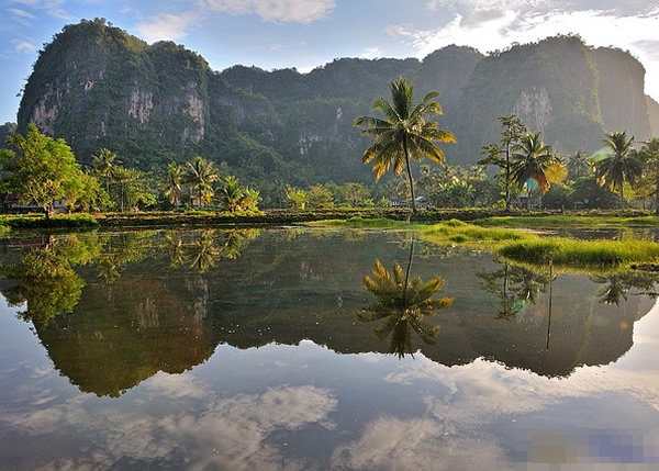 ���������Ұ��l�����״η������ټ�������������(ͼ)������