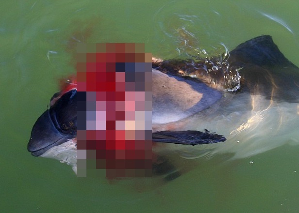 ����������˺ҧ��֫�⡣