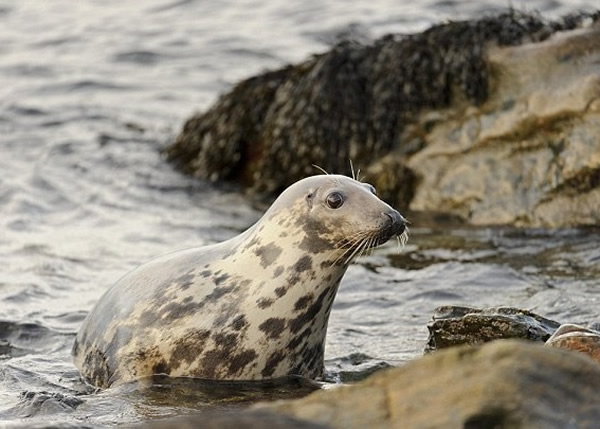 �о�Ա���ֻҺ���������ɱ���ࡣ