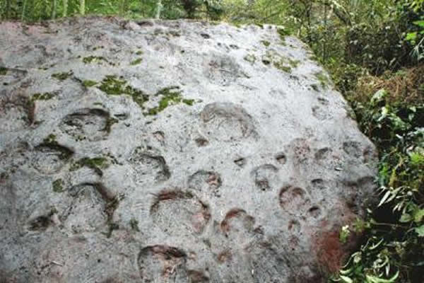 泸州市古蔺县桂花乡又发现200多个恐龙行迹化石