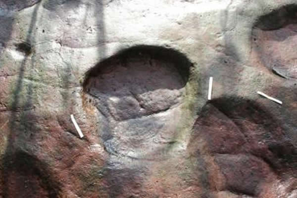 泸州市古蔺县桂花乡又发现200多个恐龙行迹化石