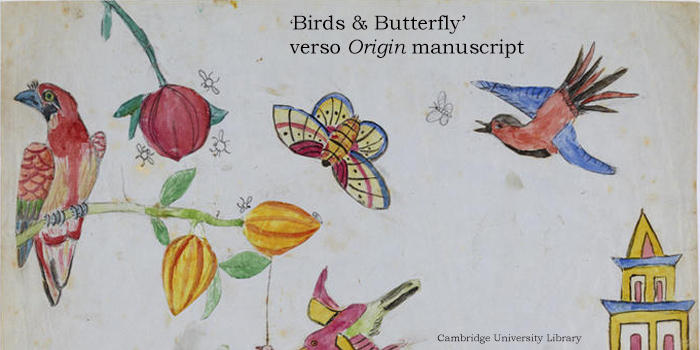 ����Ľ����۲����ͷ�չ���̵����ֵ�������