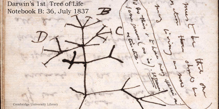 ����Ľ����۲����ͷ�չ���̵����ֵ�������